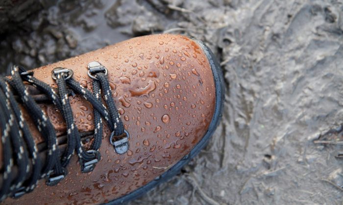 Brown water boots stepping in puddle with rain drops on them.