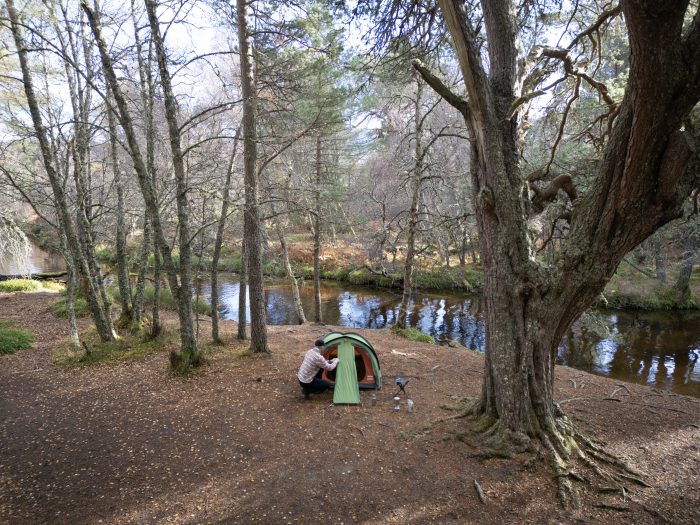 A person assembling a tent in a wooded area, surrounded by trees and natural scenery