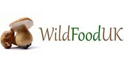 Wild Food UK Wild Food Foragers Guide & Foragers Cookbook - Hardback - 2 Set