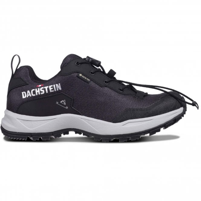 Dachstein  Delta Ascent GTX Shoe