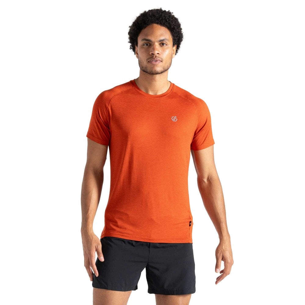 Dare2b Men's Persist Tee: : :, Colour: Cinnamon Marl Medium - Outdoor Action - Image 2