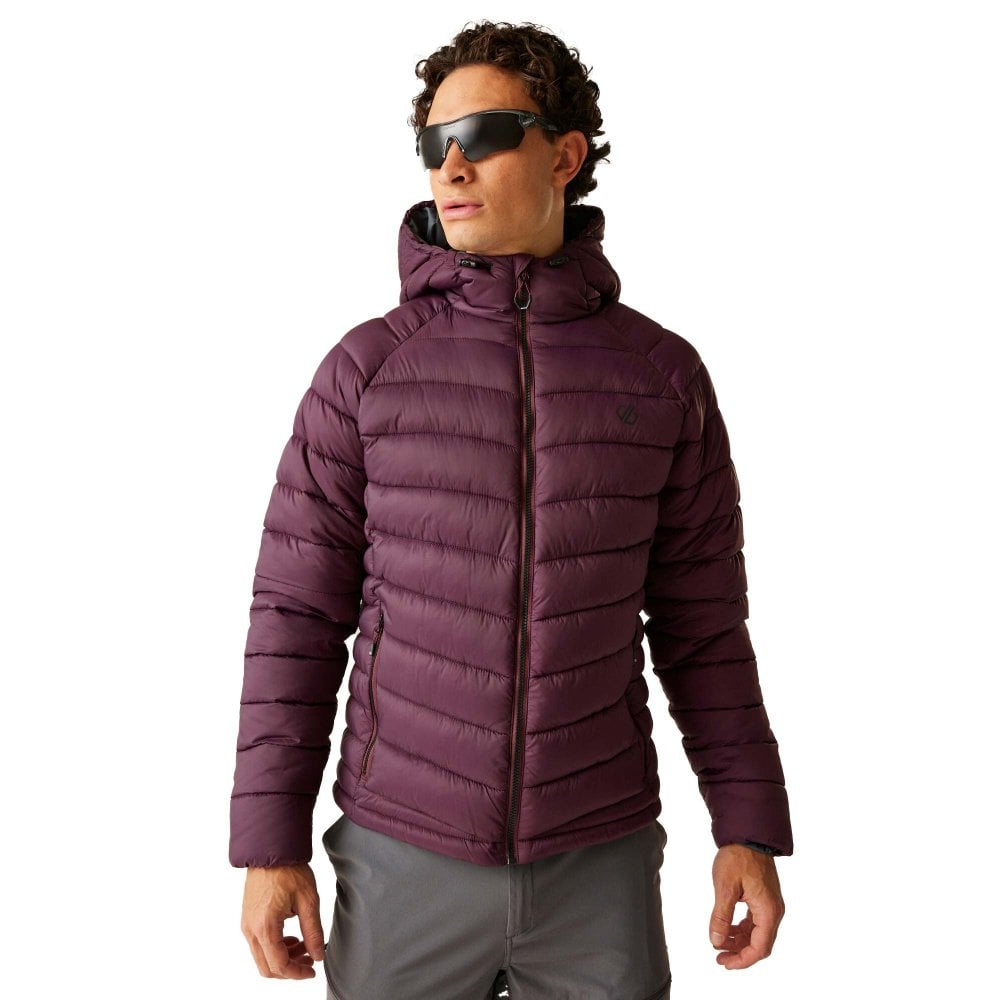 Dare2b Men's Torrek Baffled Insulated Jacket: : :, Colour: Fig Medium - Outdoor Action - Image 2