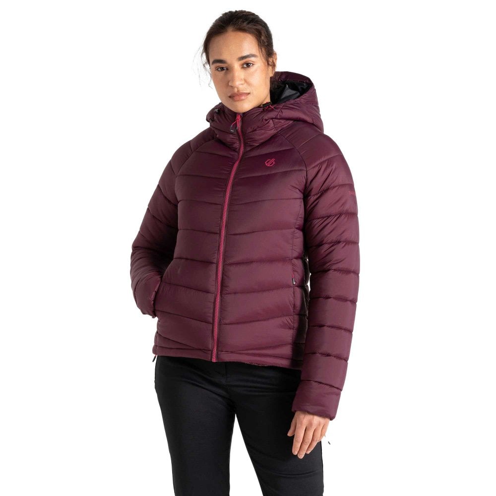 Dare2b Women's Torrek Baffle Insulated Jacket: : :, Colour Fig Size 10 - Outdoor Action - Image 2