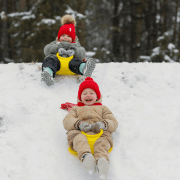 Sledges