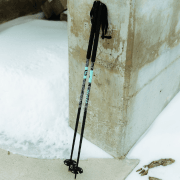 Ski Poles