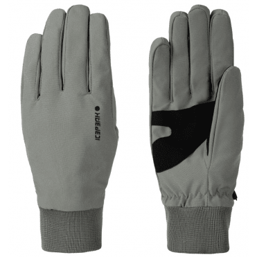 Icepeak Hartwell Glove