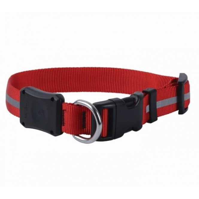 Niteize  NiteDawg LED Dog Collar