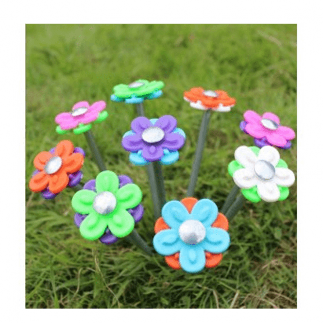 Outdoor Revolution  Daisy Peg Box of 20