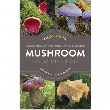 Wild Food UK Wild Food Mushroom Foraging - Paperback