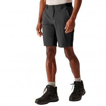 Regatta Eldes Shorts