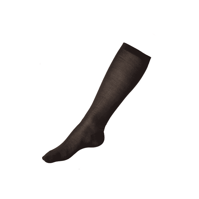 Steiner  Adult Silk Socks