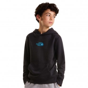 The North Face Boys Liquid Logo Regular Hoodie