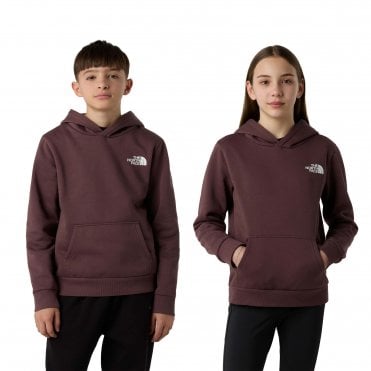 The North Face Teen Simple Dome Hoodie