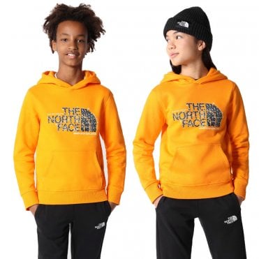 The North Face Teens Drew Peak Hoodie