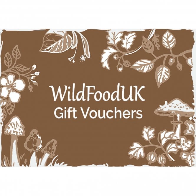 Wild Food UK  - Foraging Course Gift Voucher