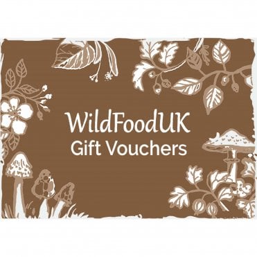 Wild Food UK - Foraging Course Gift Voucher